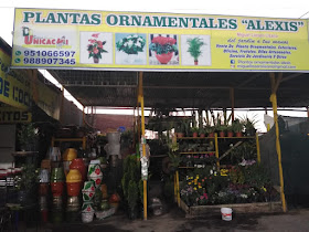 Plantas Ornamentales "Alexis"