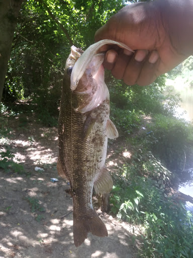 Golf Course «Hindman Golf Course Pro Shop», reviews and photos, 60 Brookview Dr, Little Rock, AR 72209, USA