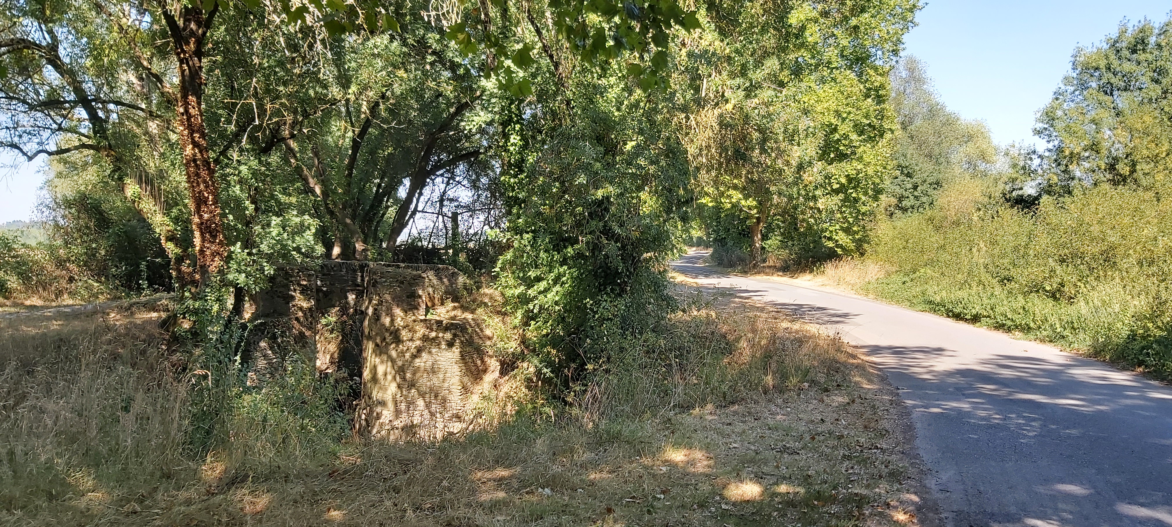 Photo n° 2 de l'avis de K..i fait le 11/08/2022 à 22:10