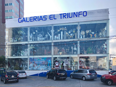 Galerías el Triunfo Sucursal Veracruz