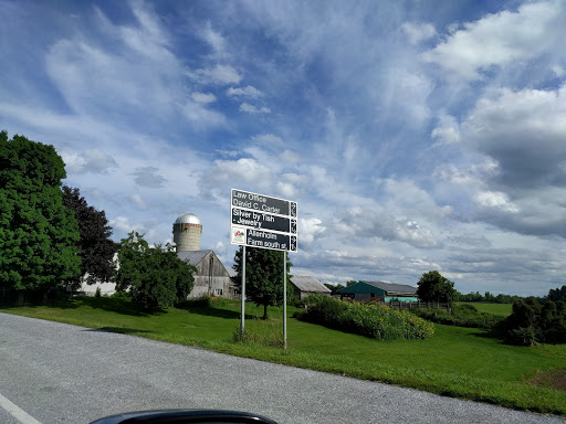 Gasolinera Gasolinera Mobil