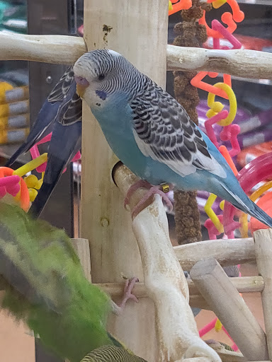 Pet Supply Store «Petco Animal Supplies», reviews and photos, 1 US-46, Totowa, NJ 07512, USA