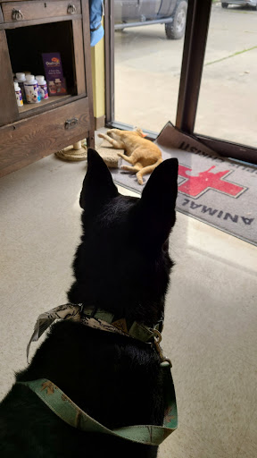 Animal Hospital «Animal Medical Corpus Christi», reviews and photos, 6822 Everhart Rd, Corpus Christi, TX 78413, USA