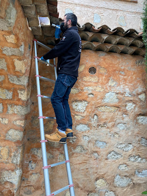 7/7 Pest Control Services : Désinsectisation, Dératisation et Désinfection à Antibes
