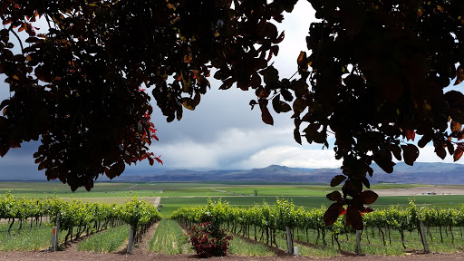 Winery «Sawtooth Winery», reviews and photos, 13750 Surrey Ln, Nampa, ID 83686, USA