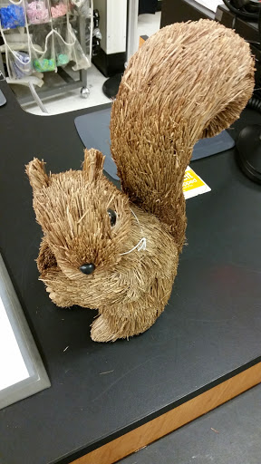 Department Store «T.J. Maxx», reviews and photos, 700 Broadway, Westwood, NJ 07675, USA