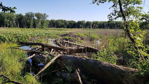 Hiking Area «Cowles Bog Trail», reviews and photos, 1618 N Mineral Springs Rd, Dune Acres, IN 46304, USA