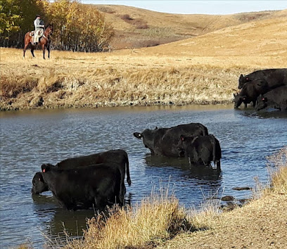 Livestock Services Of Saskatchewan