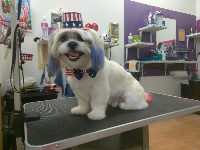 Molly & Me Dog Bakery & Grooming