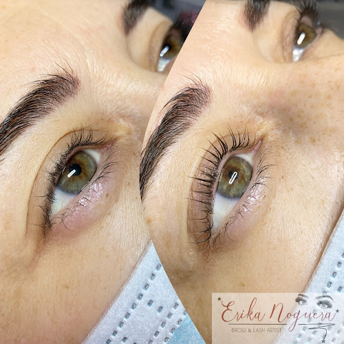 Comentarios y opiniones de Erika Noguera Brow&Lash Artist SpA