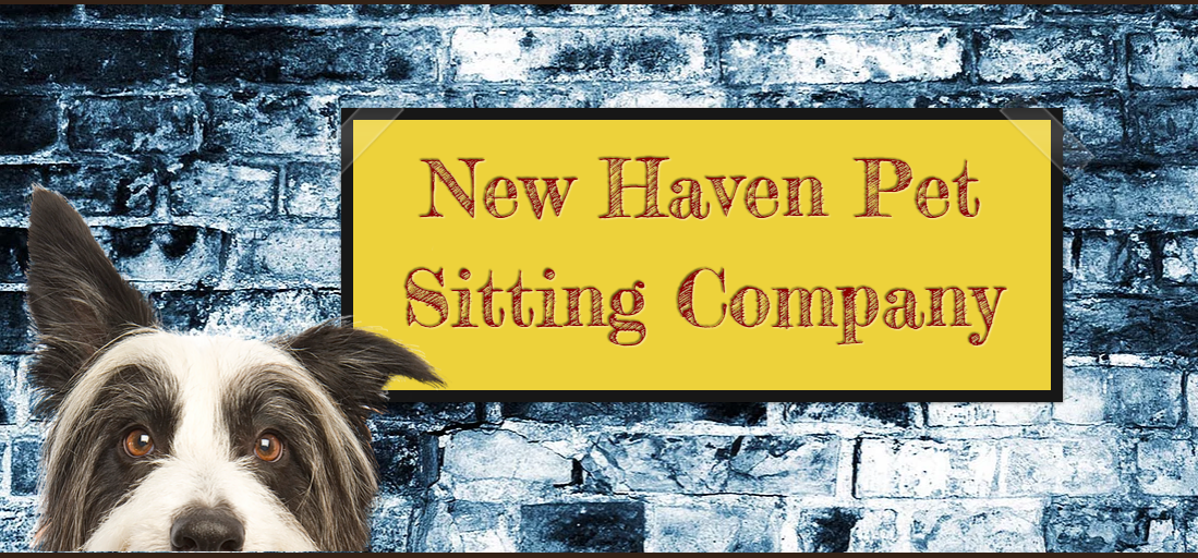 New Haven Pet Sitting Company