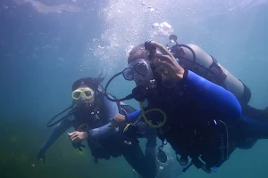 Scuba Diving Paradise image