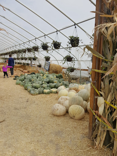 Produce Market «Kuwahara Farms», reviews and photos, 736 12300 S, Draper, UT 84020, USA