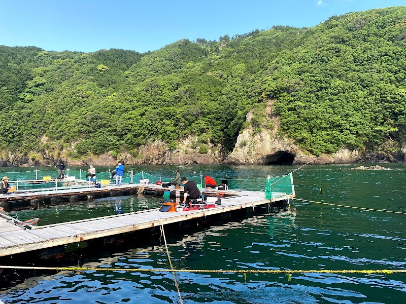 海上釣り堀 正徳丸