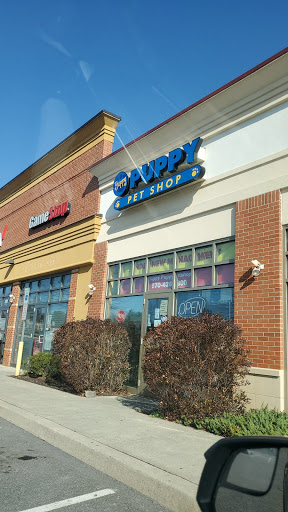 Yuppy Puppy Pet Shop, 292 Frantz Rd, Stroudsburg, PA 18360, USA, 