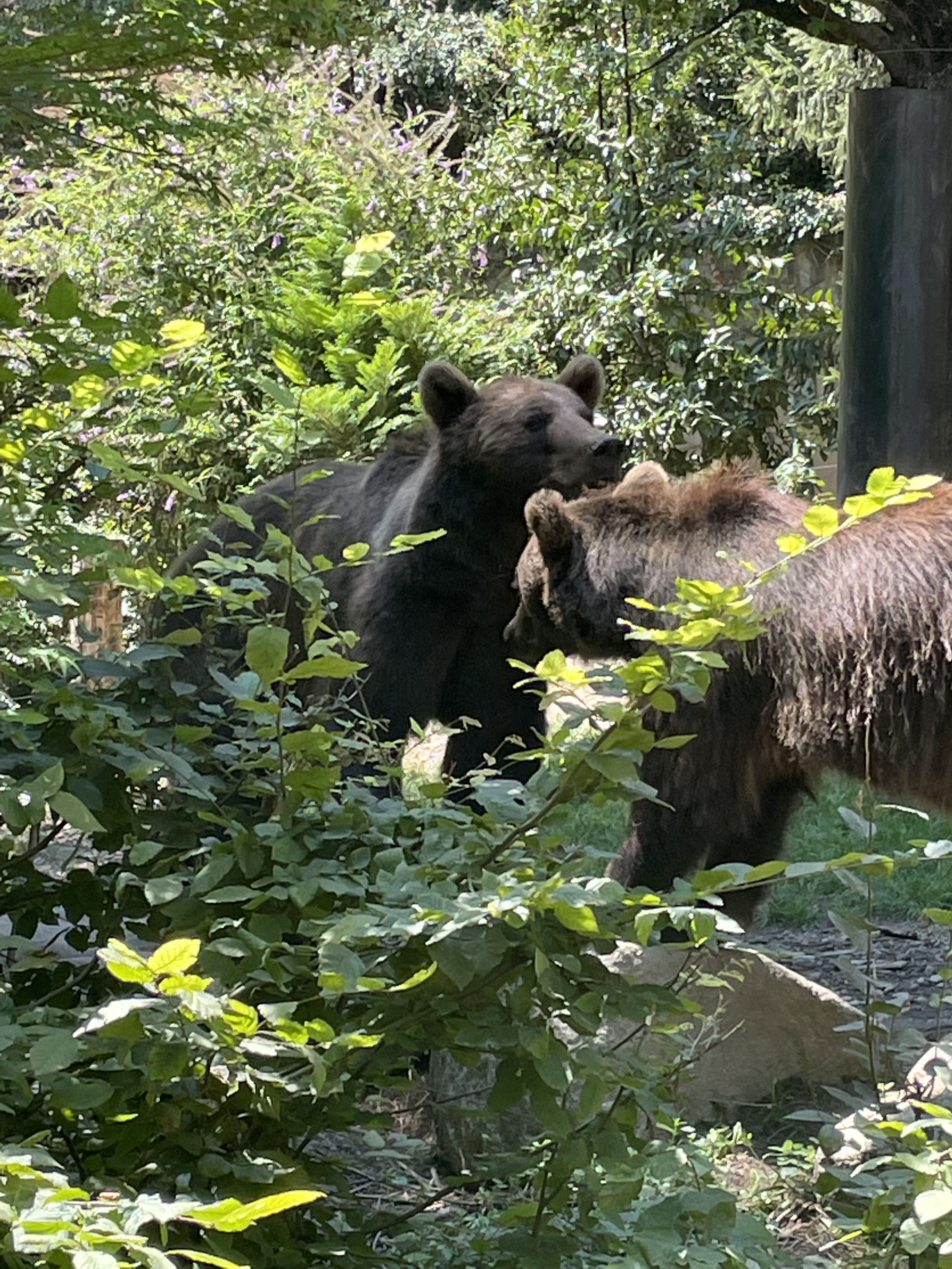 Photo n° 33 de l'avis de Gregory.G fait le 01/08/2022 à 10:31