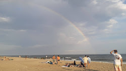 Fort Tilden Beach'in fotoğrafı vahşi alan