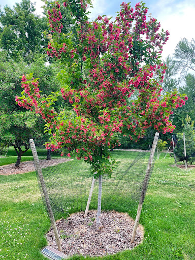 Arboretum «Yakima Area Arboretum», reviews and photos, 1401 Arboretum Dr, Yakima, WA 98901, USA