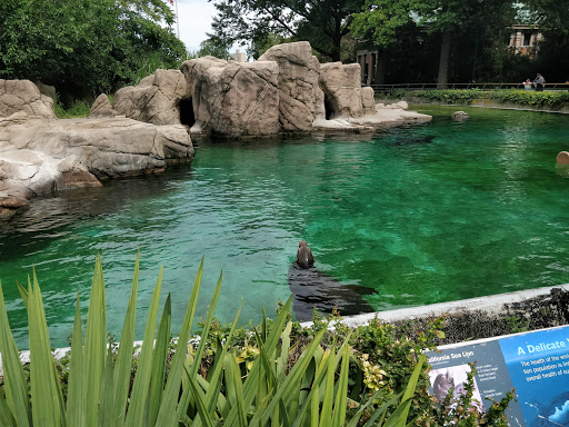 Zoo «Bronx Zoo», reviews and photos, 2300 Southern Blvd, Bronx, NY 10460, USA