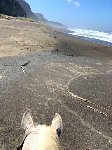 Stable «Ross Ranch», reviews and photos, 28300 Philo Greenwood Rd, Elk, CA 95432, USA