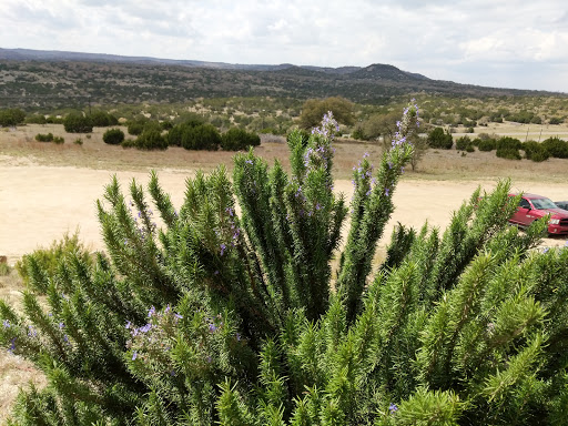 Winery «Arc De Texas», reviews and photos, 4555 US-281, Johnson City, TX 78636, USA