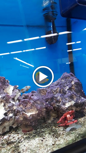 Pet Supply Store «Petco Animal Supplies», reviews and photos, 5975 20th St, Vero Beach, FL 32966, USA