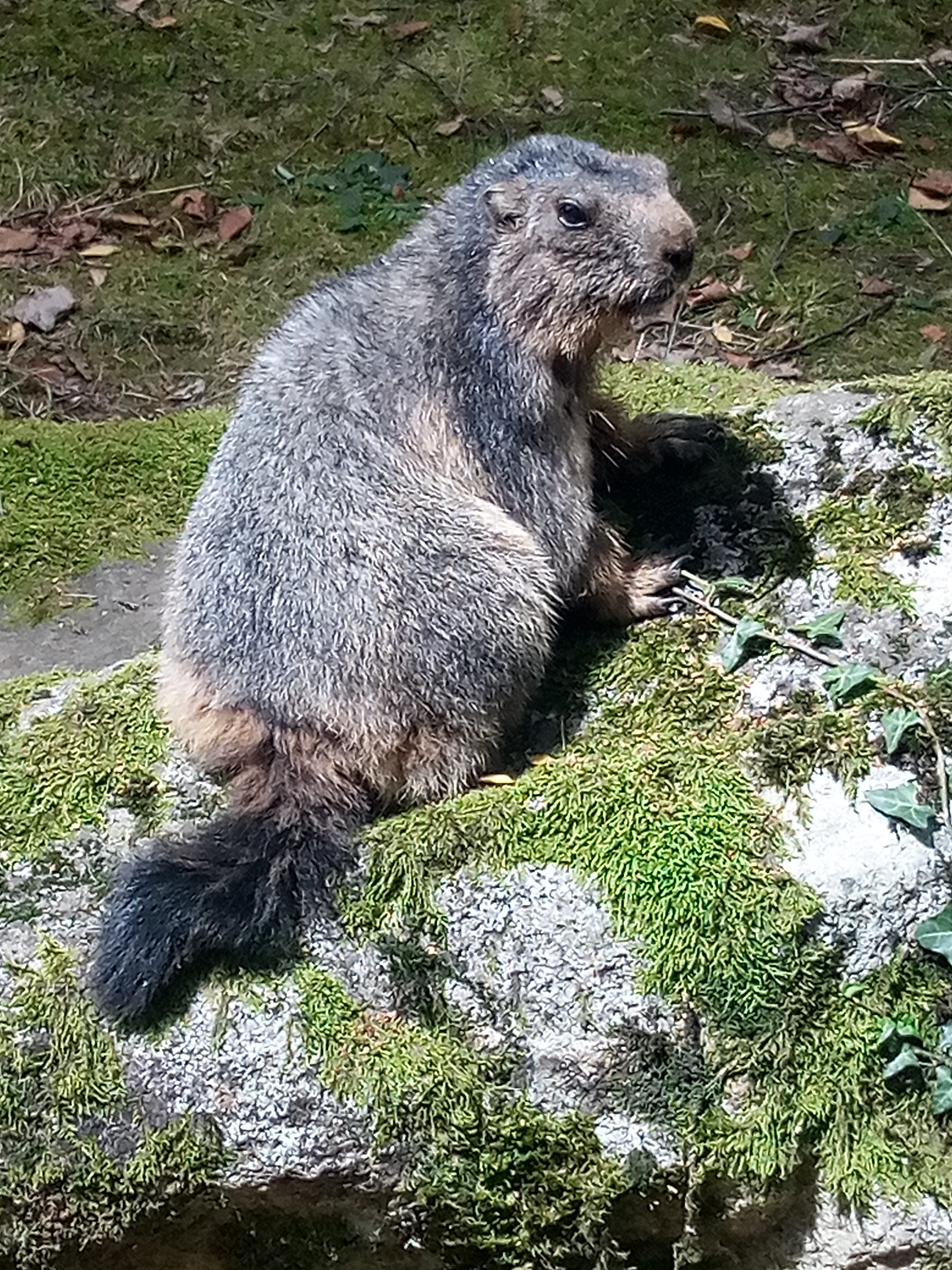 Photo n° 1 de l'avis de debomy.y fait le 03/08/2023 à 18:07