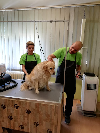 Beauty care and Dog Grooming Charlene
