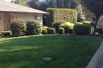Cut Right Lawn Care - Car repair in Roseville, CA, Roseville - Rated 5.0/5