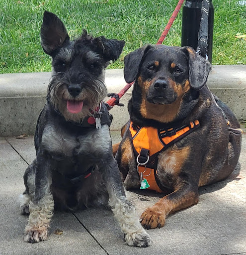 Park «Travers Park», reviews and photos, 76-9 34th Ave, Jackson Heights, NY 11372, USA