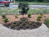 Stay Green Lawn Service LLC - Photo 2 - Car repair in , Lehigh Acres