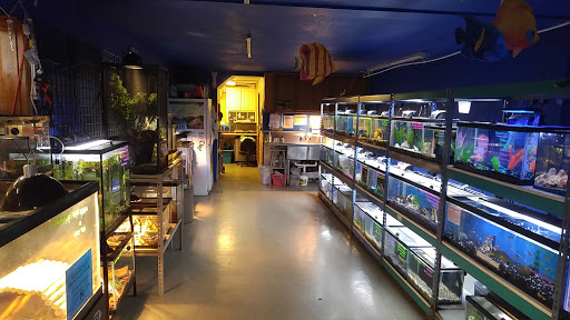 Pet Store «All About Pets LLC», reviews and photos, 52567 Columbia River Hwy, Scappoose, OR 97056, USA