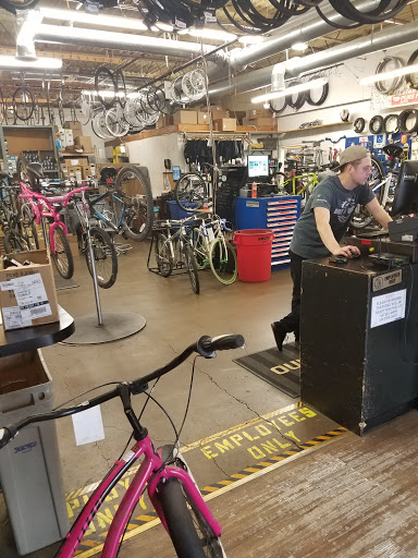 Bicycle repairs Dallas