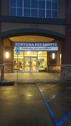 Fortuna Pet Shoppe