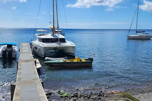 Seacat Yacht Services & Moorings image