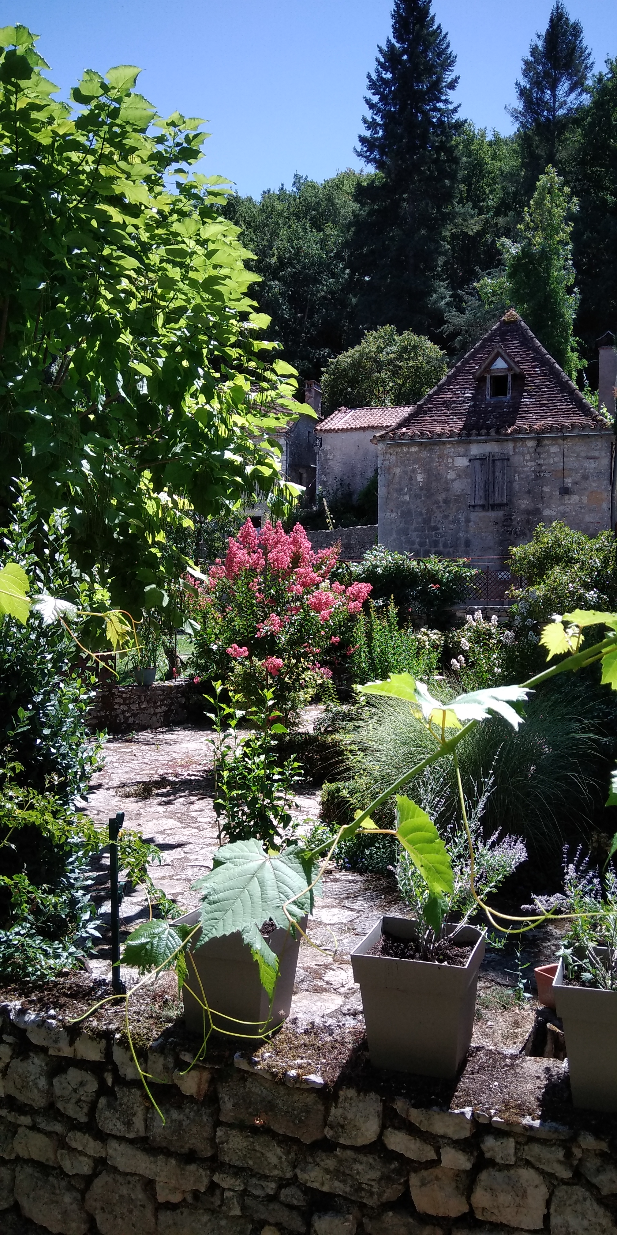 Photo n° 2 de l'avis de Moi.- fait le 11/08/2018 à 12:09