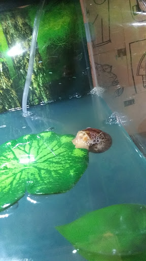 Pet Store «Slither & Swim», reviews and photos, 38 Saw Mill Rd # 16, West Haven, CT 06516, USA