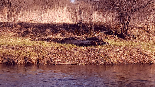 State Park «Willow River State Park», reviews and photos, 1034 County Highway A, Hudson, WI 54016, USA