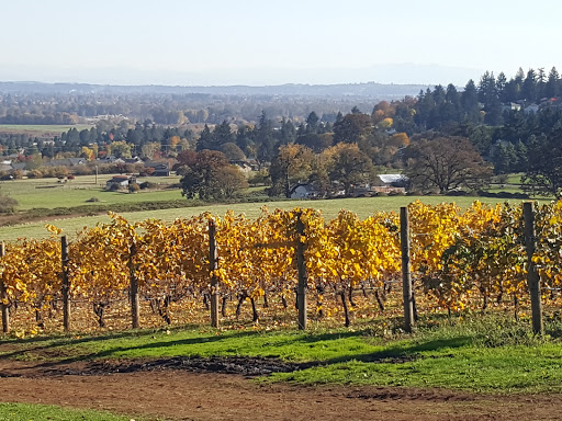 Winery «Redhawk Vineyard & Winery», reviews and photos, 2995 Michigan City Ln NW, Salem, OR 97304, USA