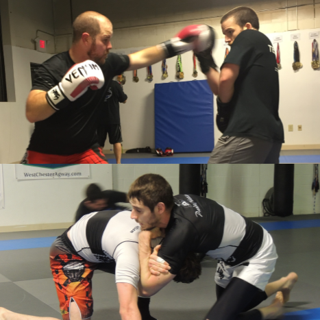 Muay Thai Boxing Gym «Paramount Brazilian Jiu-Jitsu», reviews and photos, 530 Trestle Pl, Downingtown, PA 19335, USA