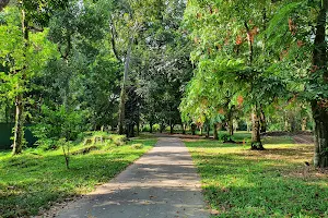 Gampaha Botanical Garden image