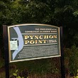 Pynchon Point
