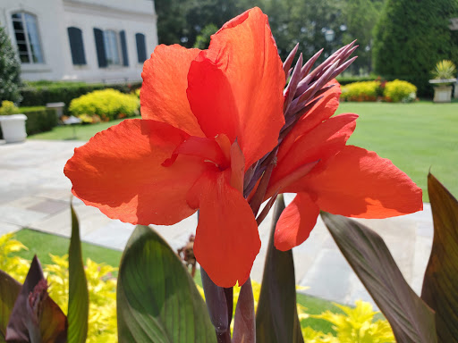 Golf Club «Wynlakes Golf & Country Club», reviews and photos, 7900 Wynlakes Blvd, Montgomery, AL 36117, USA