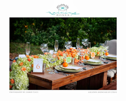 Florist «Raining Roses Productions», reviews and photos, 3506 St Valentine Way #4, Orlando, FL 32811, USA