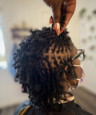 Microlocks Pau à Pau