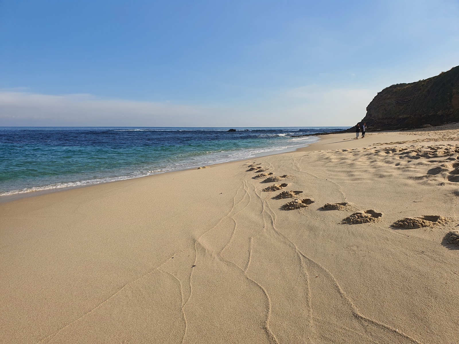 Number Sixteen Beach'in fotoğrafı vahşi alan