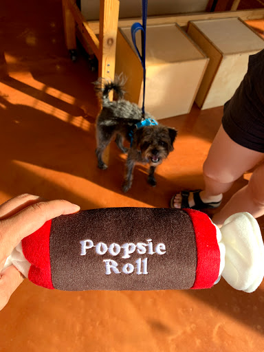 Pet Supply Store «Bark!», reviews and photos, 10737 Columbia Pike, Silver Spring, MD 20901, USA