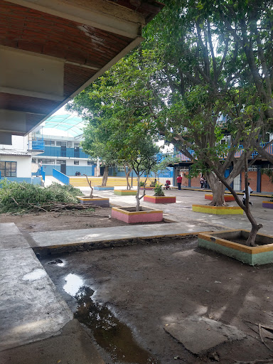 Escuela Primaria