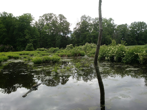 Nature Preserve «Jug Bay Wetlands Sanctuary», reviews and photos, 1361 Wrighton Rd, Lothian, MD 20711, USA