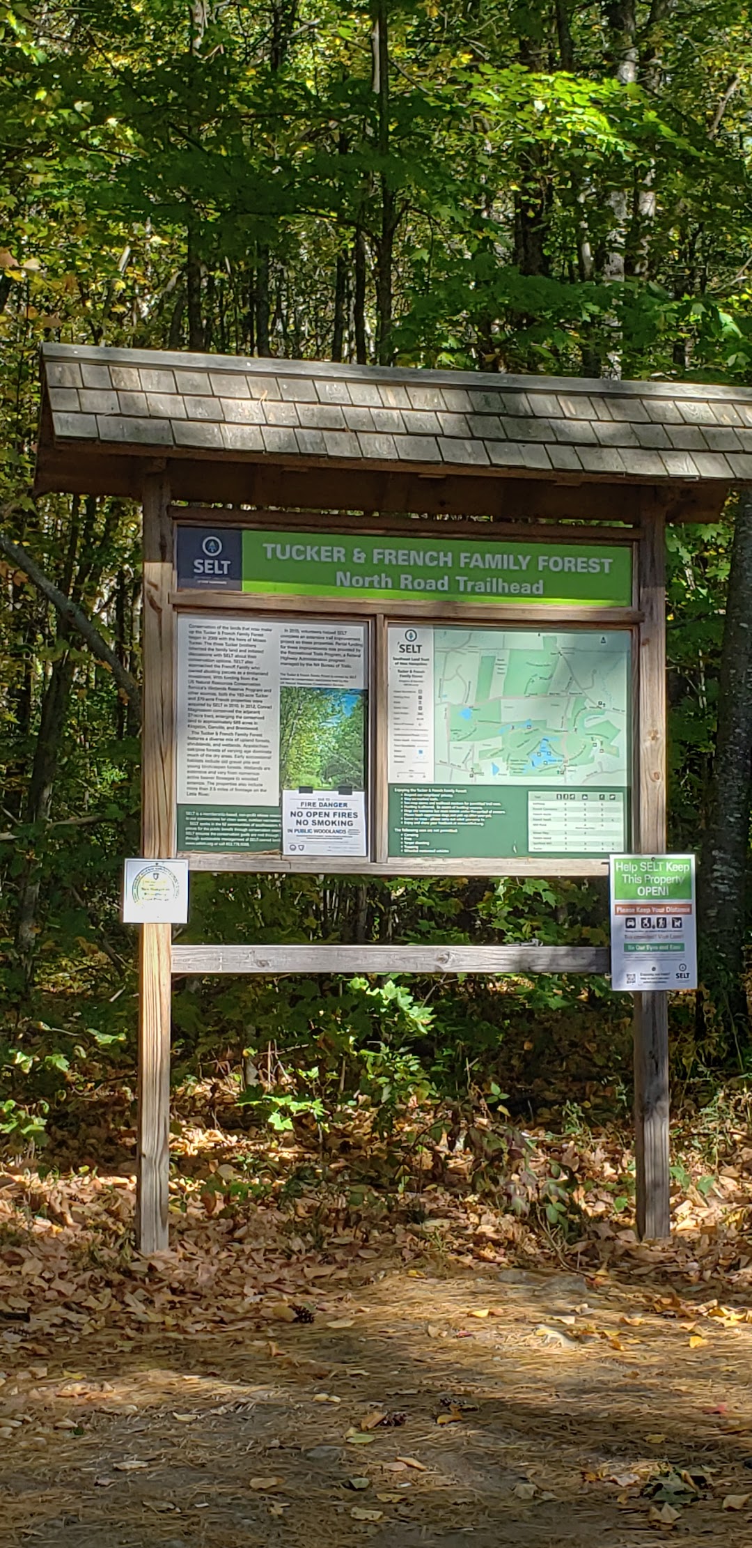 Tucker & French Family Forest